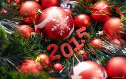 Новогодняя елка 2015